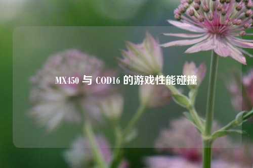 MX450 与 COD16 的游戏性能碰撞
