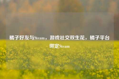 橘子好友与Steam，游戏社交双生花，橘子平台绑定Steam