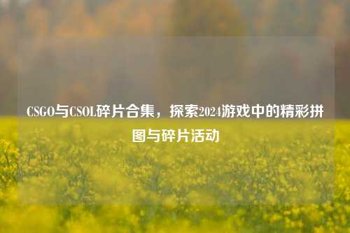 CSGO与CSOL碎片合集,探索2024游戏中的精彩拼图与碎片活动