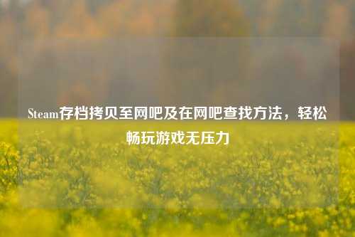 Steam存档拷贝至网吧及在网吧查找方法，轻松畅玩游戏无压力