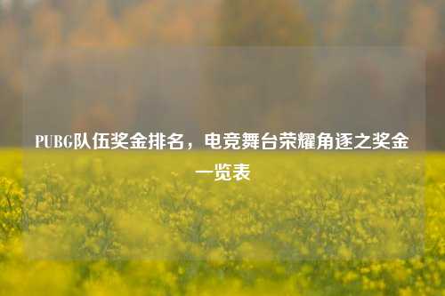 PUBG队伍奖金排名，电竞舞台荣耀角逐之奖金一览表