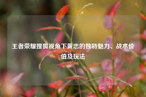王者荣耀搜狐视角下黄忠的独特魅力、战术价值及玩法
