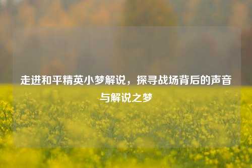 走进和平精英小梦解说，探寻战场背后的声音与解说之梦