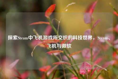 探索Steam中飞机游戏所交织的科技世界,Steam、飞机与微软