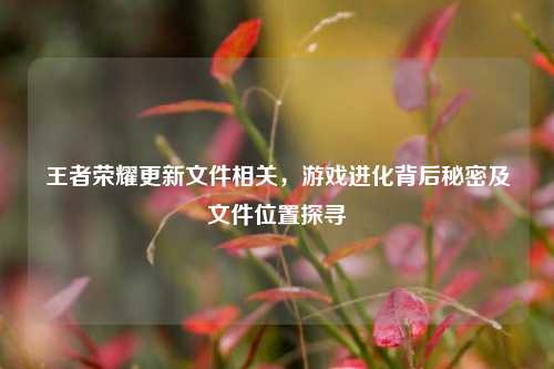 王者荣耀更新文件相关，游戏进化背后秘密及文件位置探寻