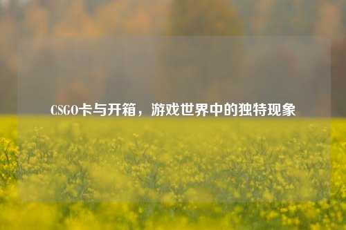 CSGO卡与开箱,游戏世界中的独特现象