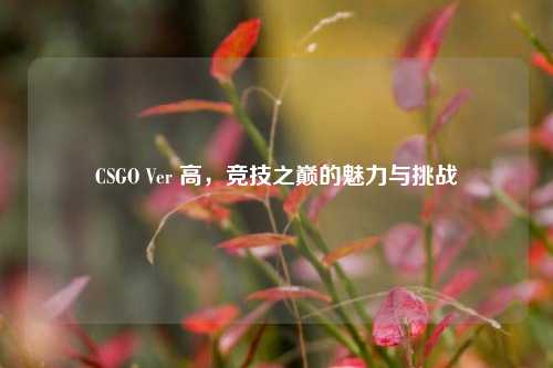 CSGO Ver 高，竞技之巅的魅力与挑战