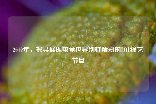 2019年,探寻展现电竞世界别样精彩的LOL综艺节目