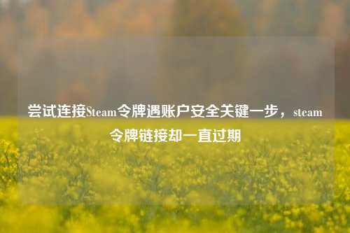 尝试连接Steam令牌遇账户安全关键一步，steam令牌链接却一直过期