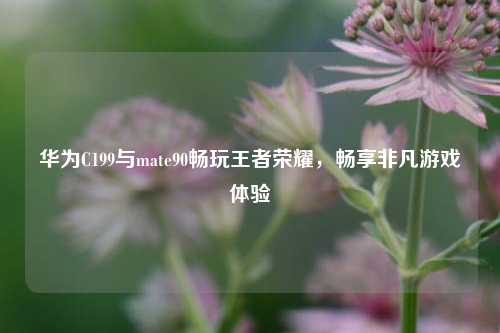 华为C199与mate90畅玩王者荣耀，畅享非凡游戏体验