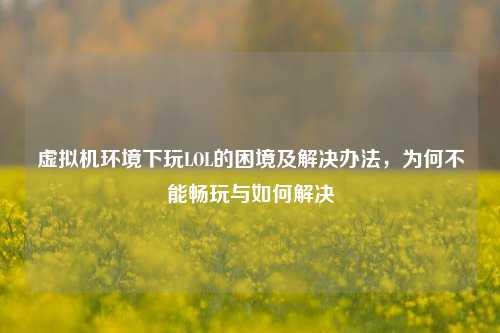 虚拟机环境下玩LOL的困境及解决办法，为何不能畅玩与如何解决
