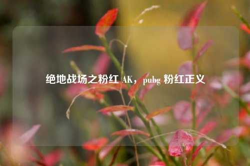 绝地战场之粉红 AK，pubg 粉红正义