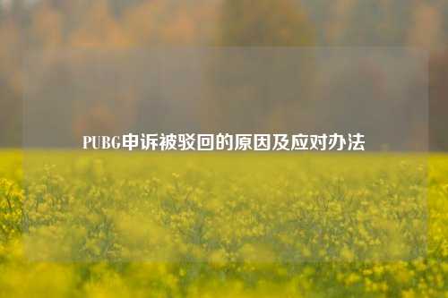 PUBG申诉被驳回的原因及应对办法