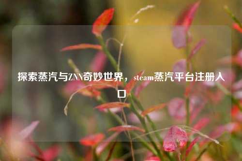 探索蒸汽与ZNN奇妙世界，steam蒸汽平台注册入口