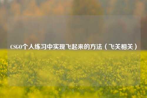 CSGO个人练习中实现飞起来的方法(飞关相关)