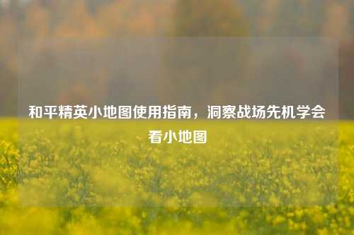 和平精英小地图使用指南,洞察战场先机学会看小地图