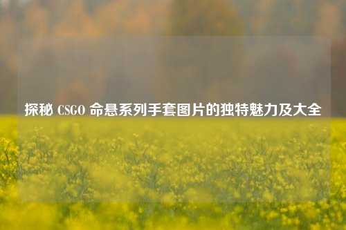 探秘 CSGO 命悬系列手套图片的独特魅力及大全