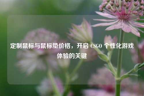 定制鼠标与鼠标垫价格，开启 CSGO 个性化游戏体验的关键