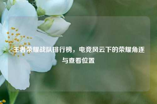 王者荣耀战队排行榜,电竞风云下的荣耀角逐与查看位置