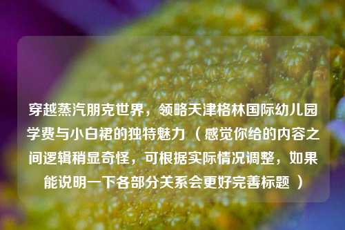 穿越蒸汽朋克世界，领略天津格林国际幼儿园学费与小白裙的独特魅力 （感觉你给的内容之间逻辑稍显奇怪，可根据实际情况调整，如果能说明一下各部分关系会更好完善标题 ）