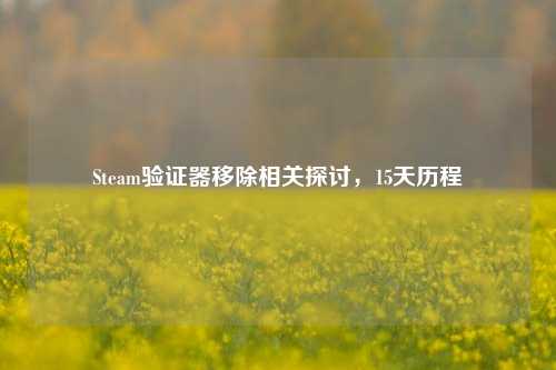 Steam验证器移除相关探讨，15天历程
