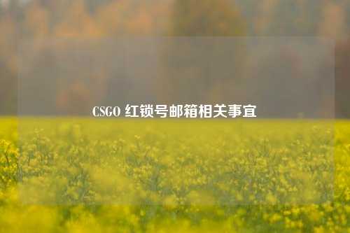 CSGO 红锁号邮箱相关事宜