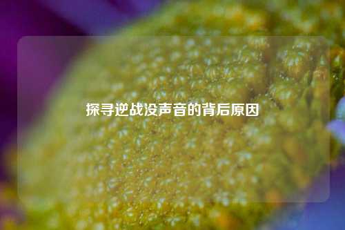探寻逆战没声音的背后原因