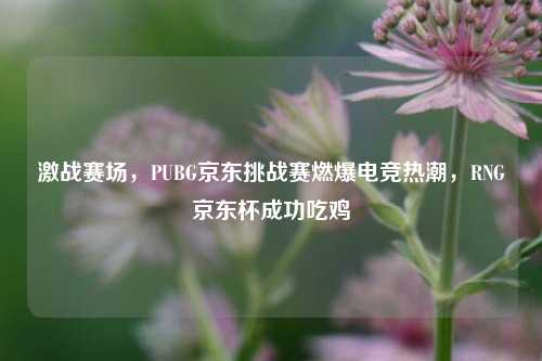 激战赛场，PUBG京东挑战赛燃爆电竞热潮，RNG京东杯成功吃鸡