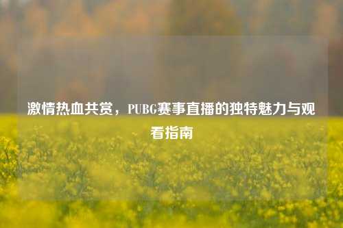 激情热血共赏，PUBG赛事直播的独特魅力与观看指南