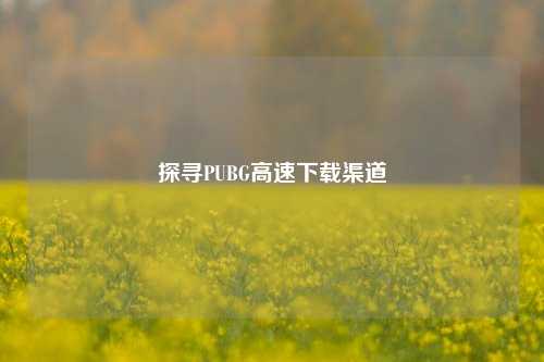 探寻PUBG高速下载渠道