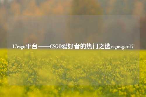 17csgo平台——CSGO爱好者的热门之选csgowgev17