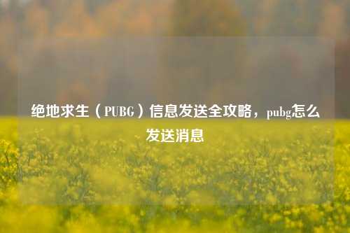 绝地求生（PUBG）信息发送全攻略，pubg怎么发送消息