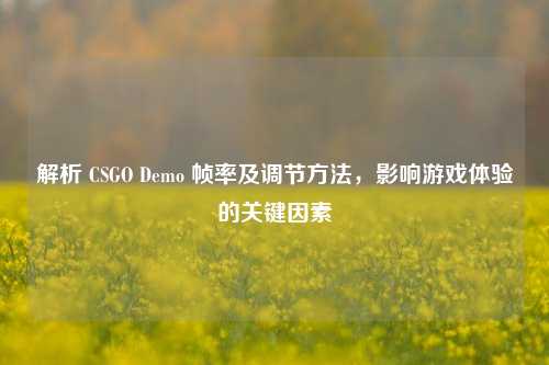 解析 CSGO Demo 帧率及调节方法，影响游戏体验的关键因素