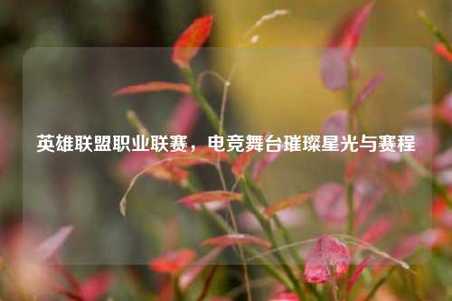 英雄联盟职业联赛,电竞舞台璀璨星光与赛程