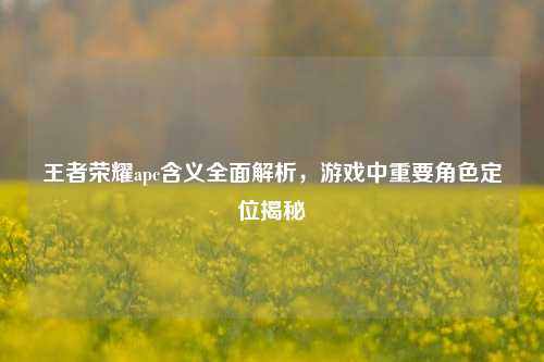 王者荣耀apc含义全面解析，游戏中重要角色定位揭秘