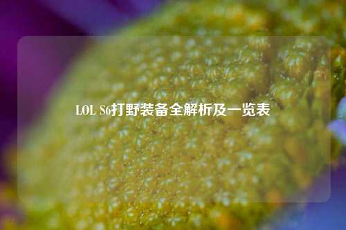 LOL S6打野装备全解析及一览表