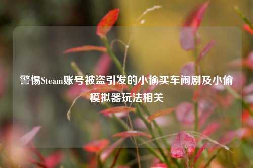 警惕Steam账号被盗引发的小偷买车闹剧及小偷模拟器玩法相关