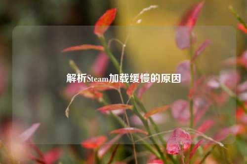 解析Steam加载缓慢的原因