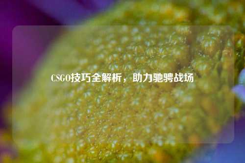 CSGO技巧全解析，助力驰骋战场