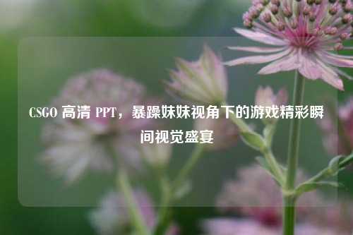 CSGO 高清 PPT，暴躁妹妹视角下的游戏精彩瞬间视觉盛宴
