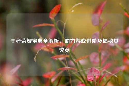 王者荣耀宝典全解析，助力游戏进阶及揭秘其究竟