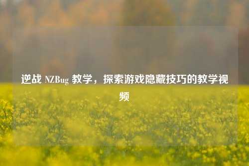 逆战 NZBug 教学，探索游戏隐藏技巧的教学视频