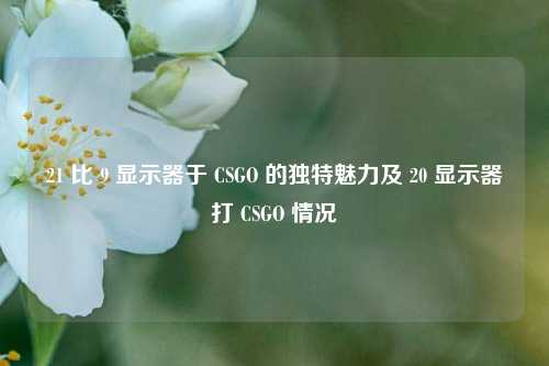 21 比 9 显示器于 CSGO 的独特魅力及 20 显示器打 CSGO 情况