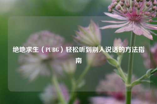绝地求生（PUBG）轻松听到别人说话的方法指南
