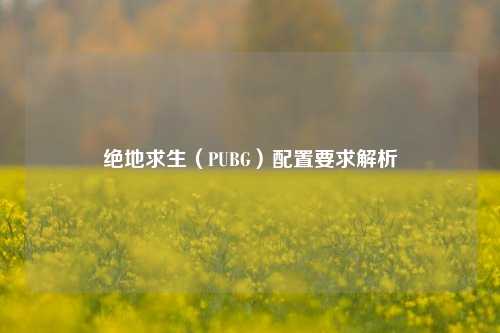绝地求生（PUBG）配置要求解析
