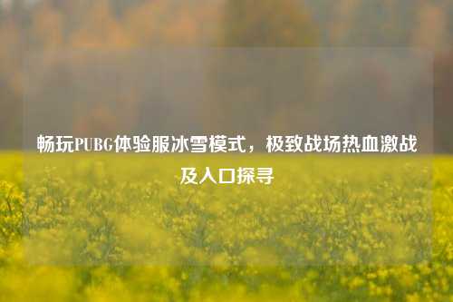 畅玩PUBG体验服冰雪模式，极致战场热血激战及入口探寻