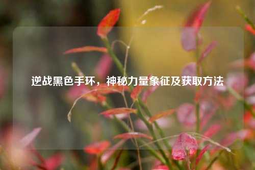 逆战黑色手环，神秘力量象征及获取方法