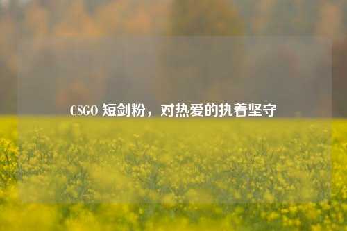 CSGO 短剑粉，对热爱的执着坚守