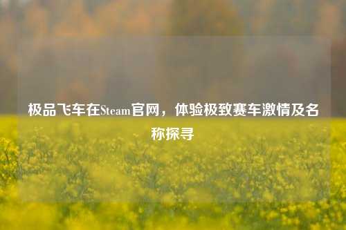 极品飞车在Steam官网，体验极致赛车激情及名称探寻