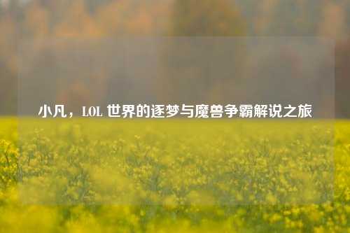 小凡,LOL 世界的逐梦与魔兽争霸解说之旅